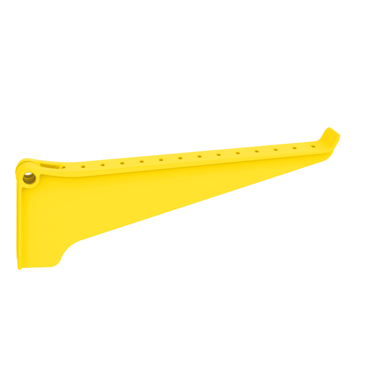 BNT-F21